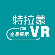 深圳市特拉蒙创新实业有限公司