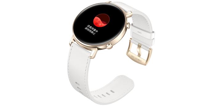 华为Watch GT2、Apple Watch 5和佳明 fēnix 5你中意哪款？